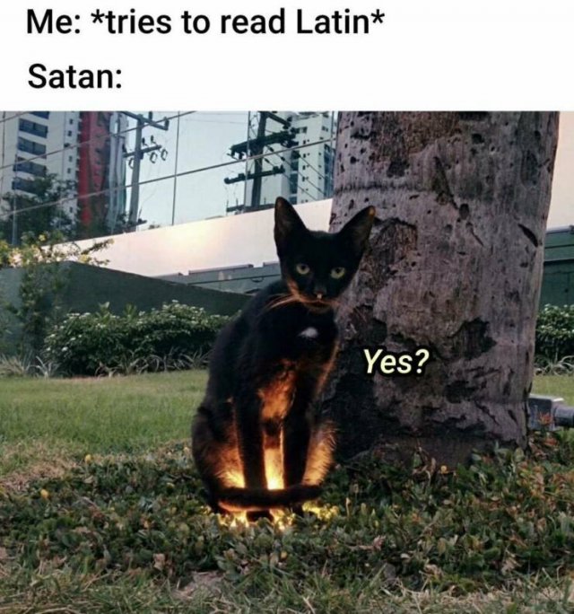 Creepy Memes (25 pics)