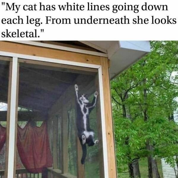 Creepy Memes (25 pics)