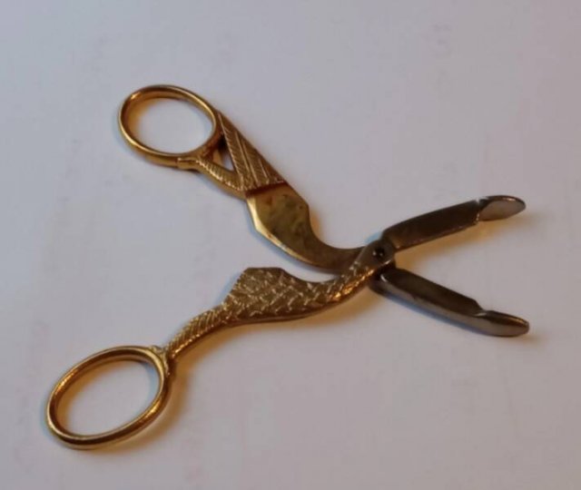 What Are These Things? (17 pics)