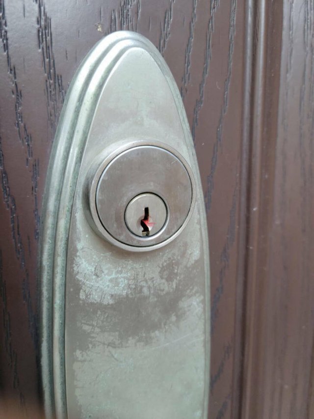 What Are These Things? (17 pics)