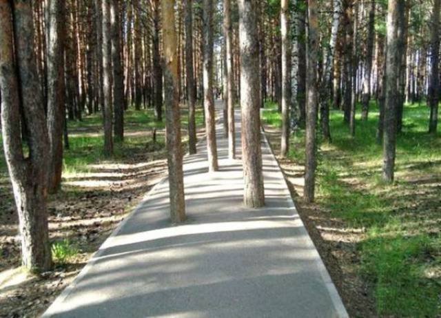 Construction Fails (40 pics)