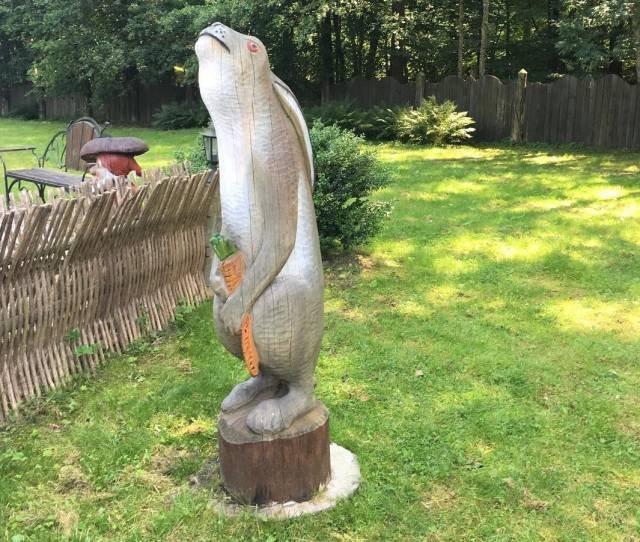 What Is Going On Here? (39 pics)