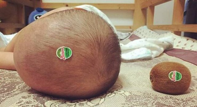 Unexpected Finds (15 pics)