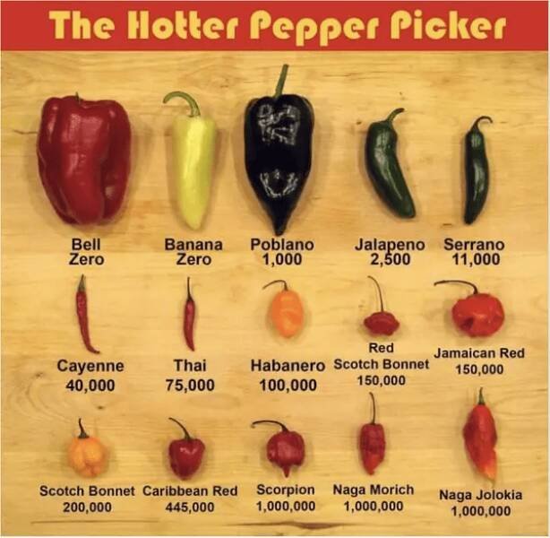 Useful Cooking Guides (28 pics)