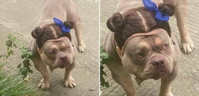 Funny Animals (21 pics)