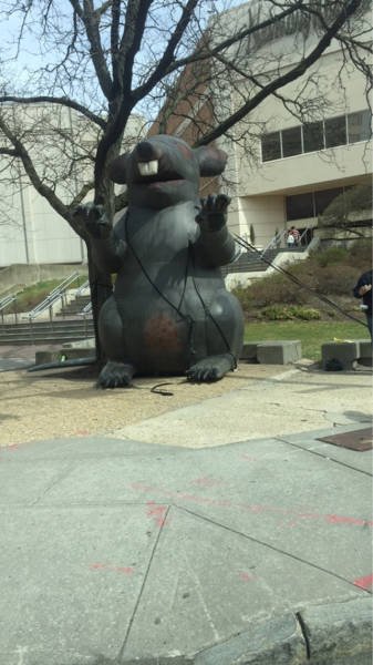 What Is Going On Here? (42 pics)