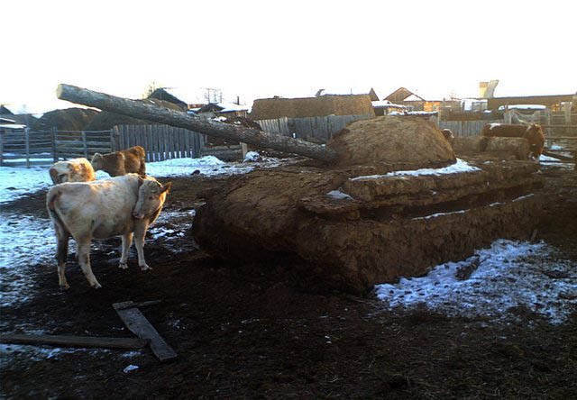 Strange Photos From Russia (40 pics)