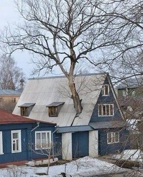 Strange Photos From Russia (40 pics)