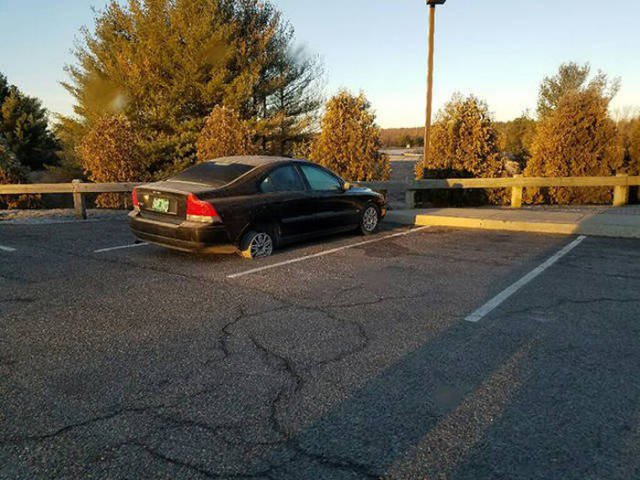 What Is Going On Here? (42 pics)