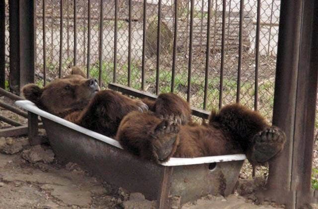 Strange Photos From Russia (40 pics)