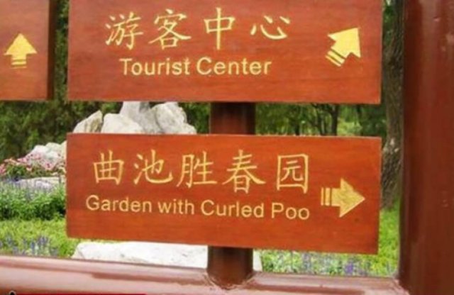 Failed Translation (13 pics)