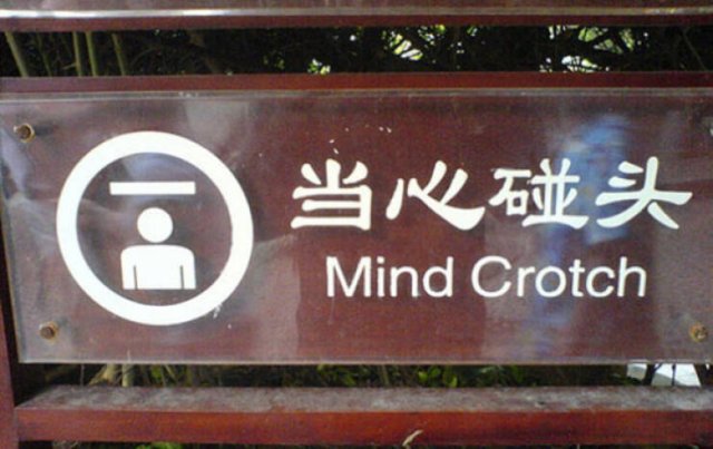 Failed Translation (13 pics)