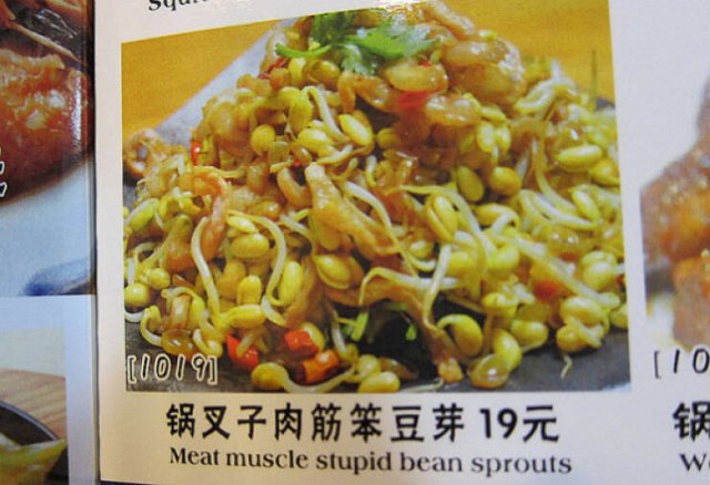 Failed Translation (13 pics)