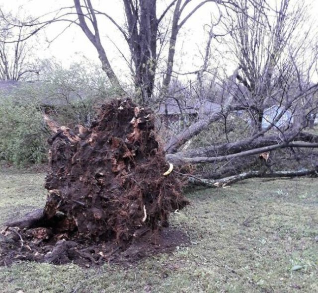 Consequences Of Bad Weather (25 pics)