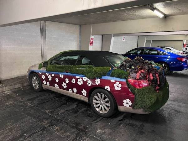 Crazy Tuning (36 pics)