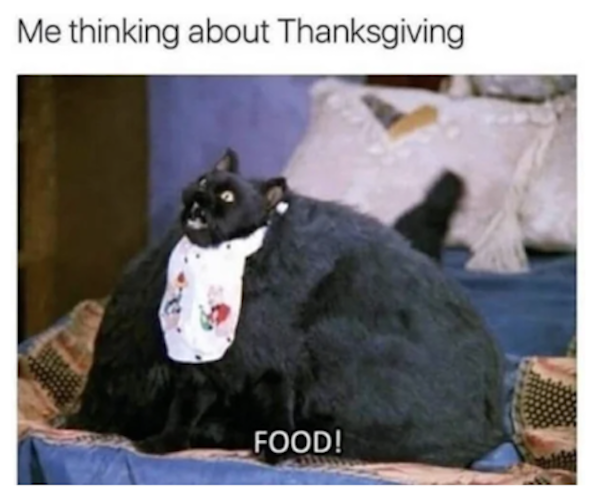 Thanksgiving Memes (25 pics)