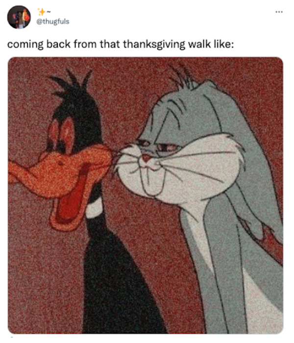 Thanksgiving Memes (25 pics)