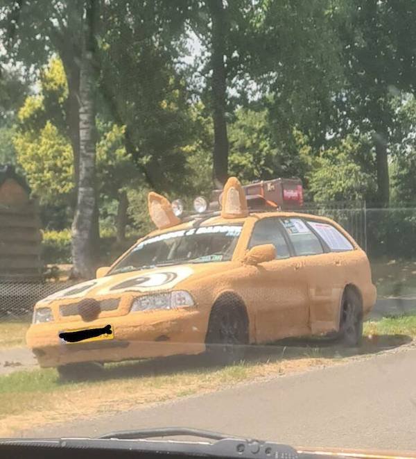 Crazy Tuning (36 pics)