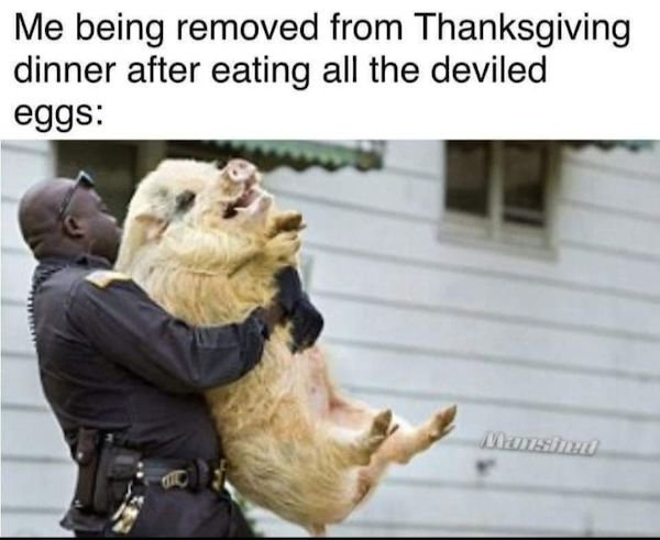 Thanksgiving Memes (25 pics)