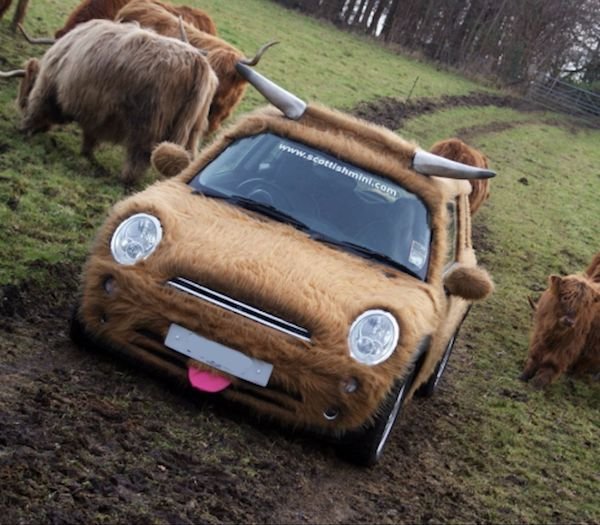 Crazy Tuning (36 pics)
