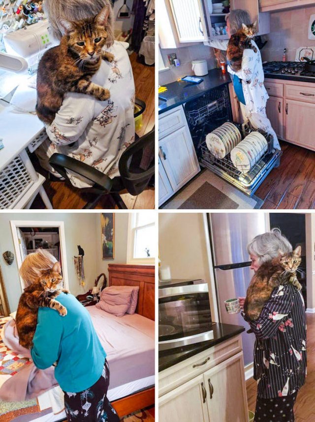 Their Arrogance Knows No Limits (17 pics)