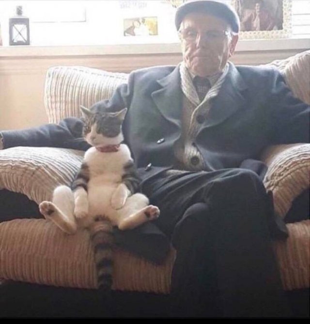 Their Arrogance Knows No Limits (17 pics)