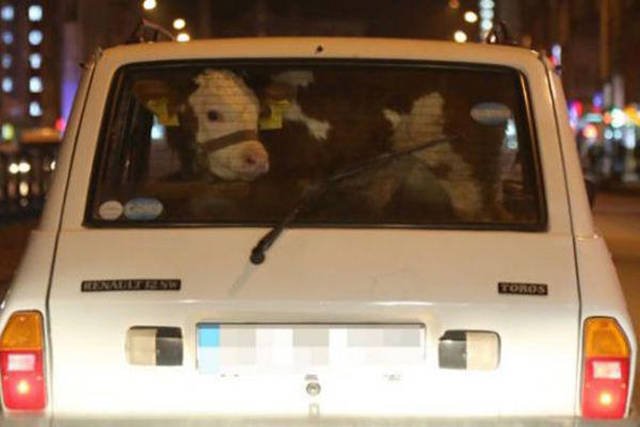 Strange Encounters On The Roads (44 pics)
