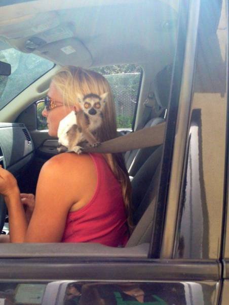 Strange Encounters On The Roads (44 pics)