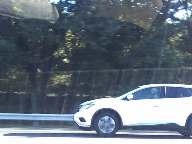 Strange Encounters On The Roads (44 pics)