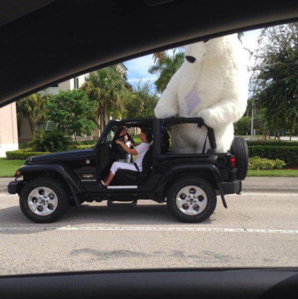 Strange Encounters On The Roads (44 pics)