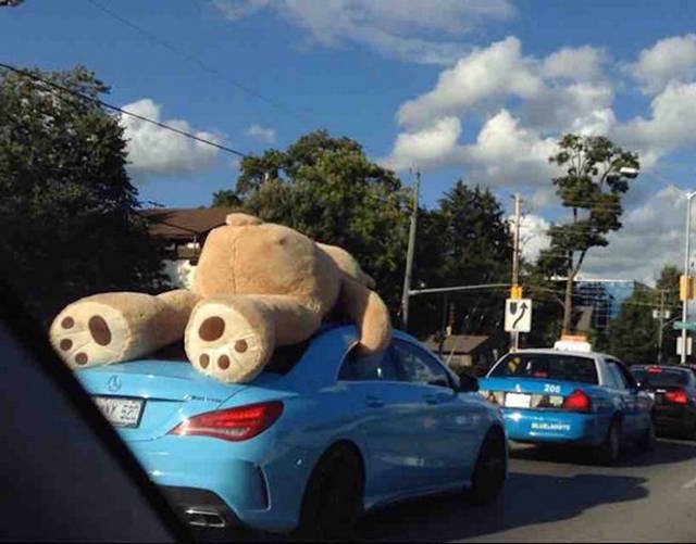 Strange Encounters On The Roads (44 pics)