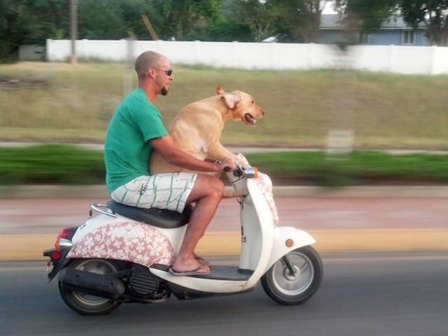 Strange Encounters On The Roads (44 pics)