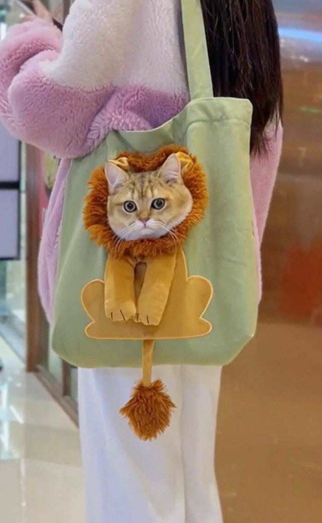 Interesting Designs And Finds (23 pics)