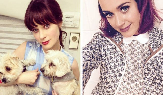 Celebrities Doppelgangers (15 pics) Celebrities Doppelgangers (15 pics)