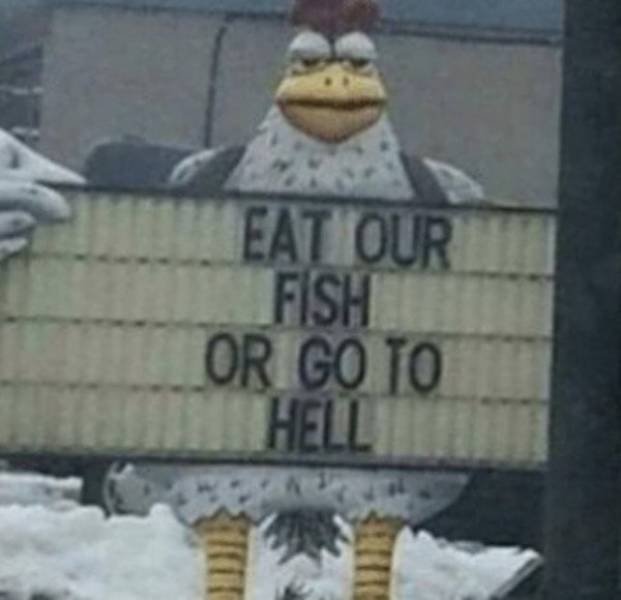 What Is Going On Here? (49 pics)
