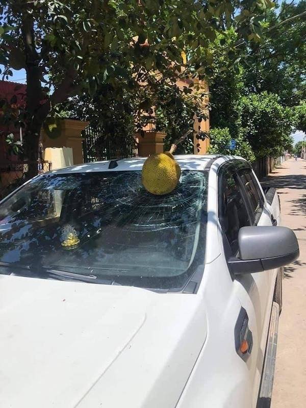 Weird Car Crashes (23 pics)