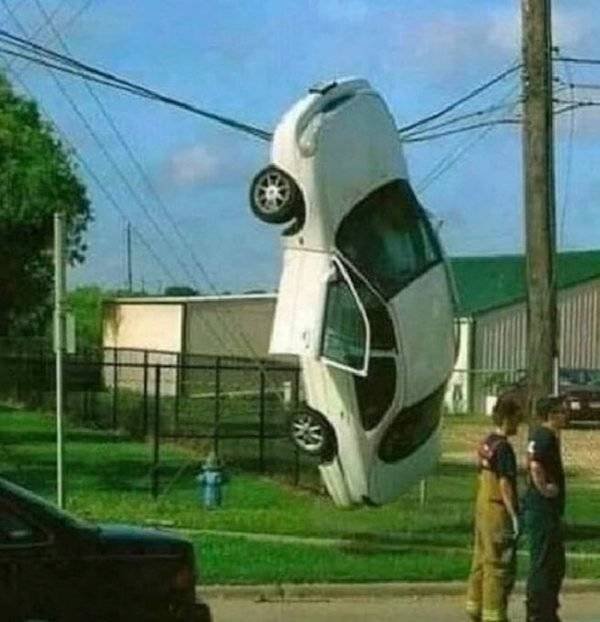 What Is Going On Here? (49 pics)