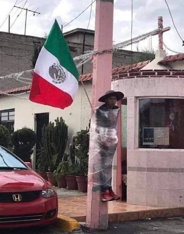 What Is Going On Here? (49 pics)