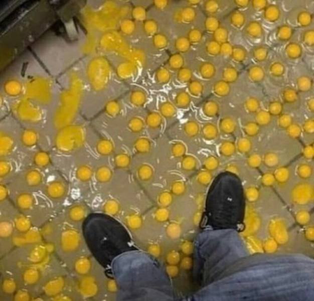 What Is Going On Here? (49 pics)
