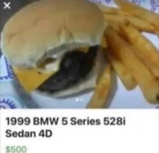 What Is Going On Here? (49 pics)