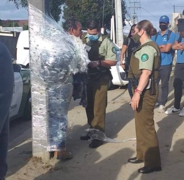What Is Going On Here? (49 pics)