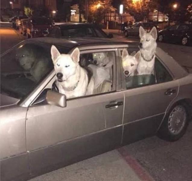 What Is Going On Here? (49 pics)