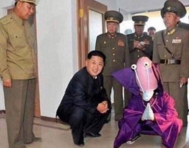 What Is Going On Here? (49 pics)