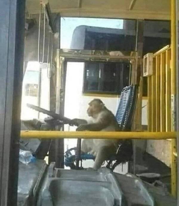 What Is Going On Here? (49 pics)