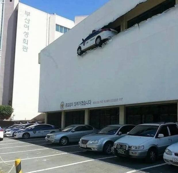 What Is Going On Here? (49 pics)