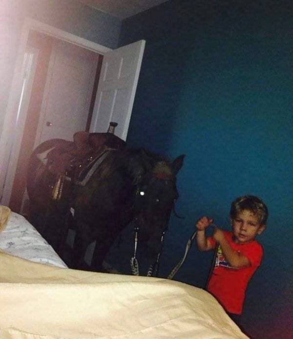 What Is Going On Here? (49 pics)