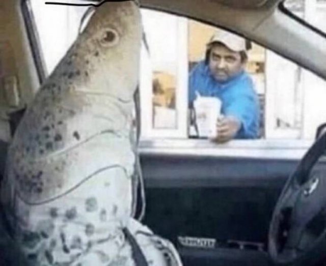 What Is Going On Here? (49 pics)