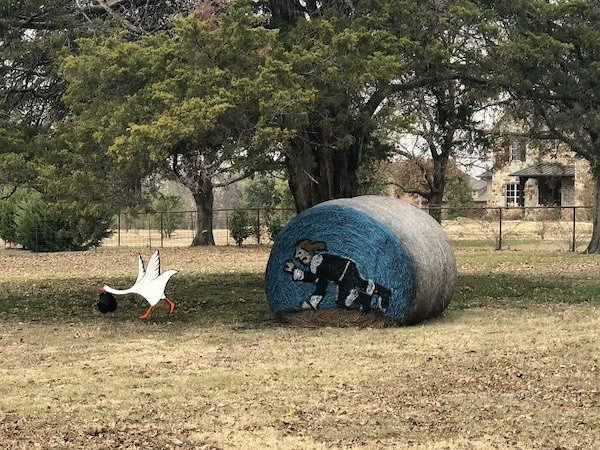 Unusual Thanksgiving Decorations (24 pics)