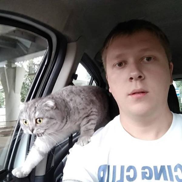 They Are Very Afraid Of Veterinarians (24 pics) They Are Very Afraid Of Veterinarians (24 pics)