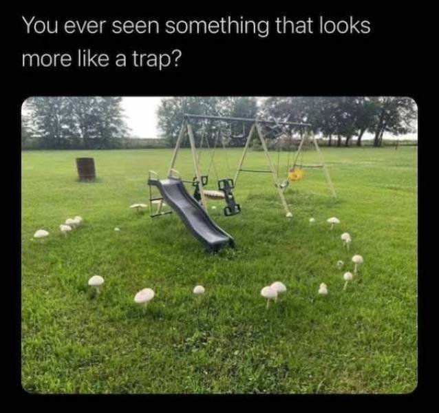 What Is Going On Here? (42 pics)